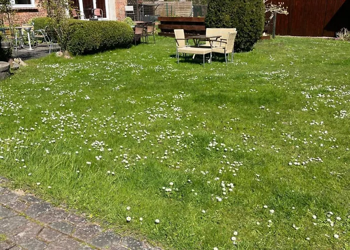 Apartament Holtz 7 *